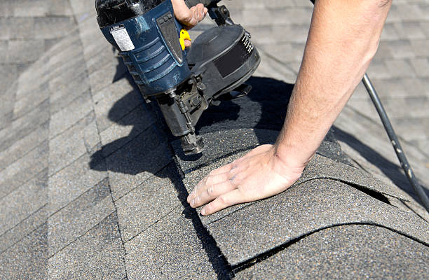 Best Asphalt Shingle Roofing  in Belle Rose, LA